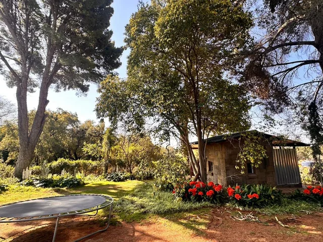 Haldon Estates، بلومفونتين 51/69