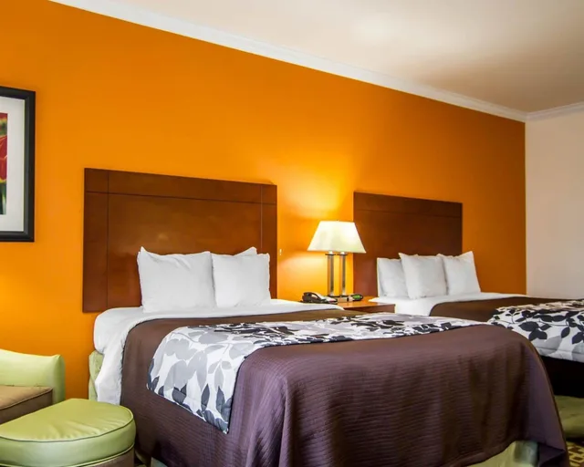 غرفة قياسية بسريرين كوين، Sleep Inn Suites I 20 3/5