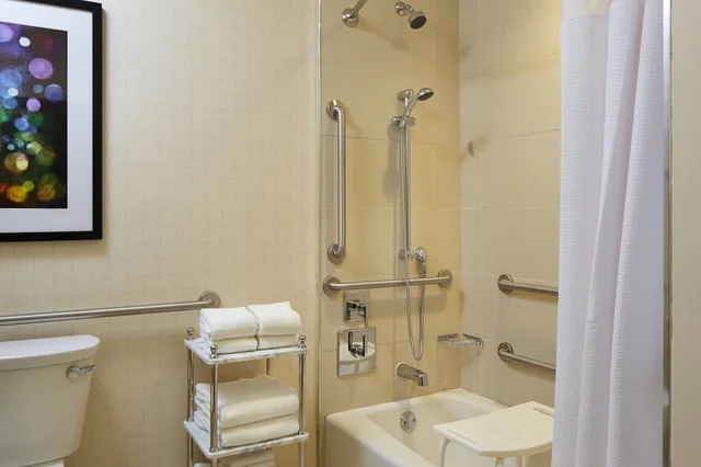 جناح استوديو بسرير كينج مع أريكة، Springhill Suites By Marriott At Anaheim Resort Area Convention Center 3/3