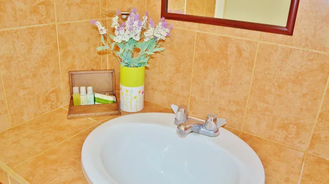 1 Bedroom, Deluxe, Suite, Partial Ocean View, Kitchen, Corales Suites 5/8