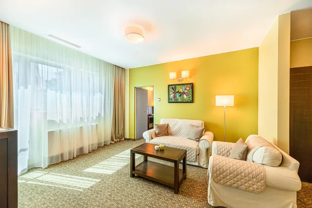جناح بزنس بإطلالة على النهر، Vega Hotel 4/6