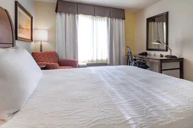 جناح بسرير كينج بجاكوزي لذوي الإعاقة، Hilton Garden Inn Devens Common 4/7