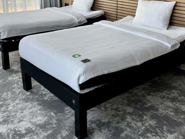 غرفة قياسية بسريرين منفصلين، Ibis Styles Warszawa City 2/6