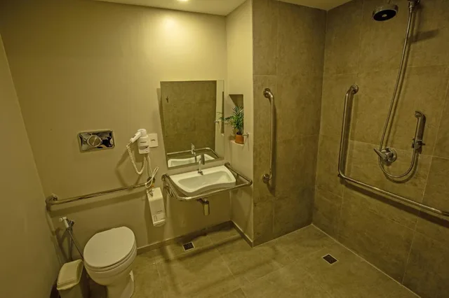 غرفة بسرير مزدوج لذوي الإعاقة، CAIS DA PRAIA HOTEL 3/4