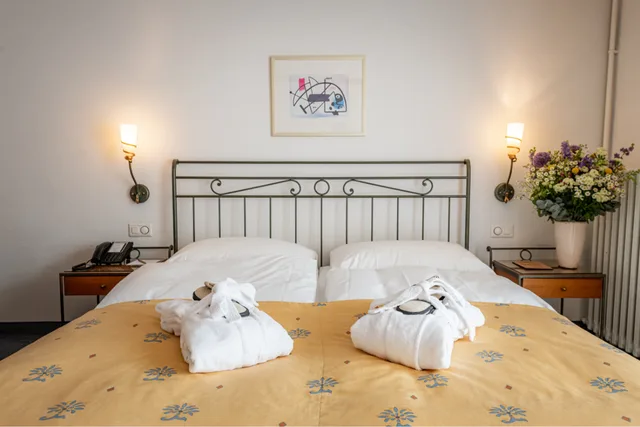 غرفة سوبيريور، Hotel Adula 3/5