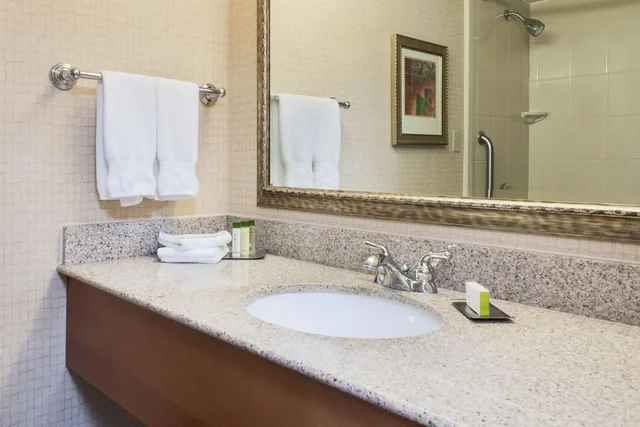 جناح جونيور بسرير كينج بجاكوزي، Doubletree By Hilton Grand Junction 4/6