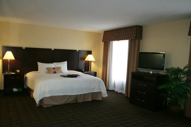Studio, Suite, King Bed, Hampton Inn Suites Orlando John Young Pkwy 1/1