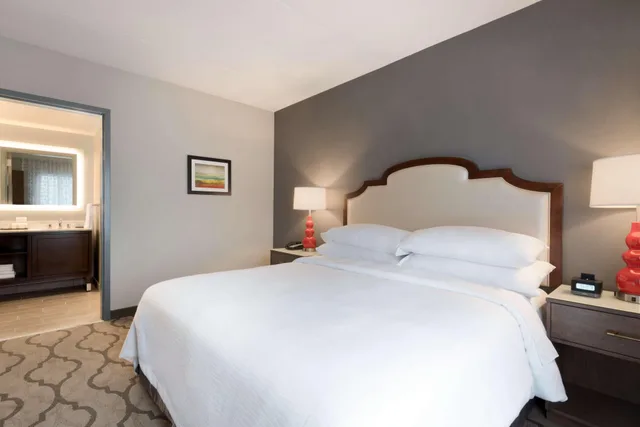 جناح بسرير كينج، Embassy Suites By Hilton Chicago-Naperville 1/2