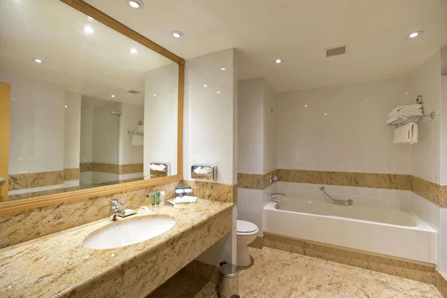 غرفة تنفيذية مفردة، Hilton Paris Charles De Gaulle Airport 14/16