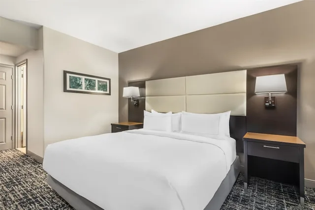 غرفة ديلوكس بسرير كينج مع أريكة، DoubleTree by Hilton Williamsburg 4/9