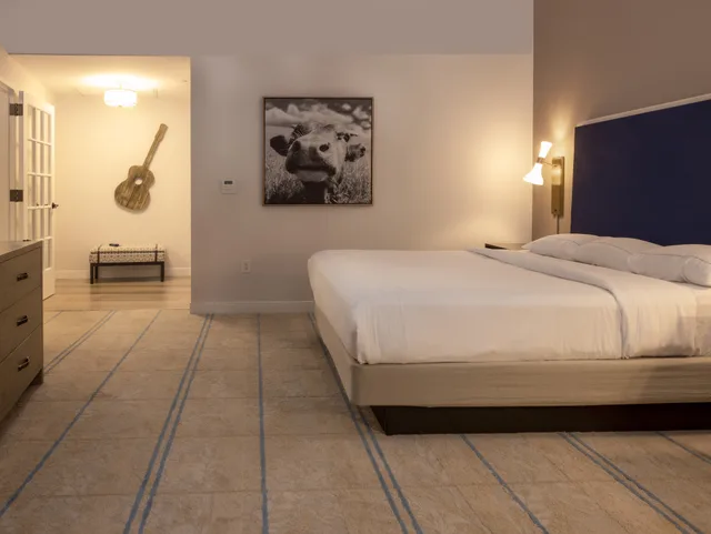 Superior, King Bed, Accessible, Hilton Austin Airport 1/2
