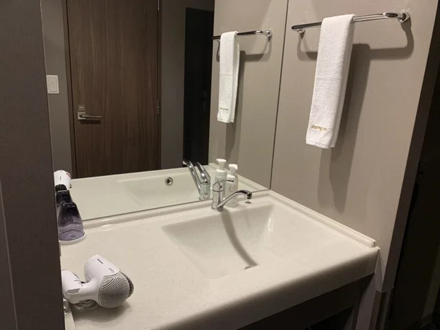 غرفة مفردة، Dormy Inn Kobe Motomachi Natural Hot Spring 8/9