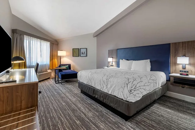 Room, King Bed, Patio, Bathtub, Accessible, Best Western Denver East 1/2