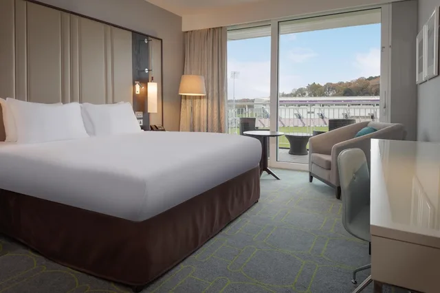 Deluxe, King Bed, Plunge View, Balcony، Hilton Southampton - Utilita Bowl 2/10