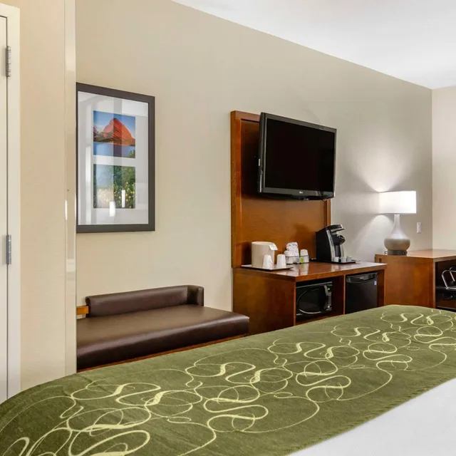 جناح بسرير كينج يُسمح فيها بالحيوانات الأليفة، Comfort Suites Helena Airport 4/5