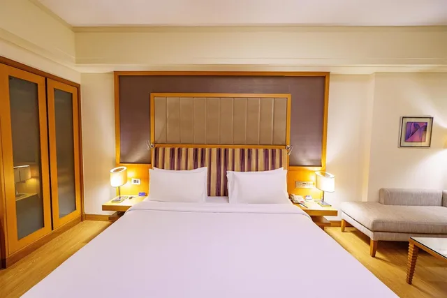 غرفة ديلوكس بسرير كينج، Radisson Blu Hotel Indore 1/10