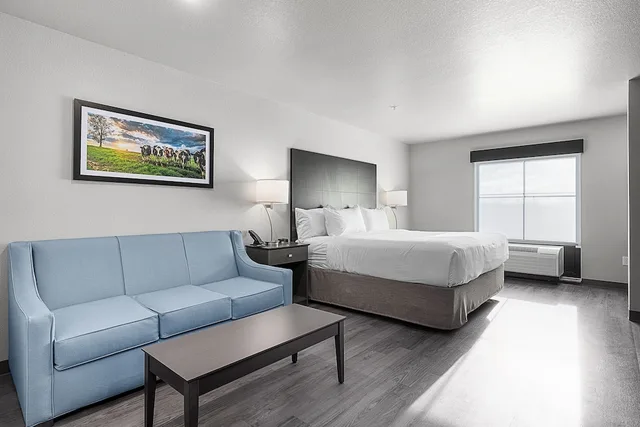 استوديو بسرير كينج مع أريكة، Riverstone Suites - Chippewa Falls 3/5