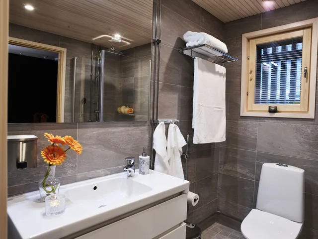 Northern, Cottage, King Bed، Nova Skyland Hotel 8/10