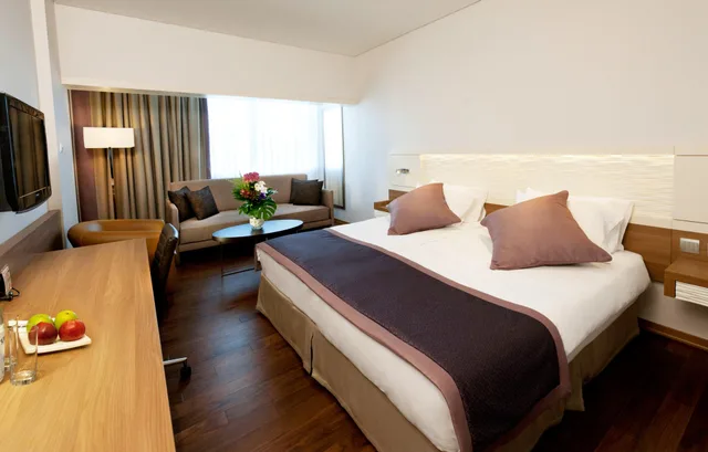 غرفة قياسية، Crowne Plaza Limassol 2/2