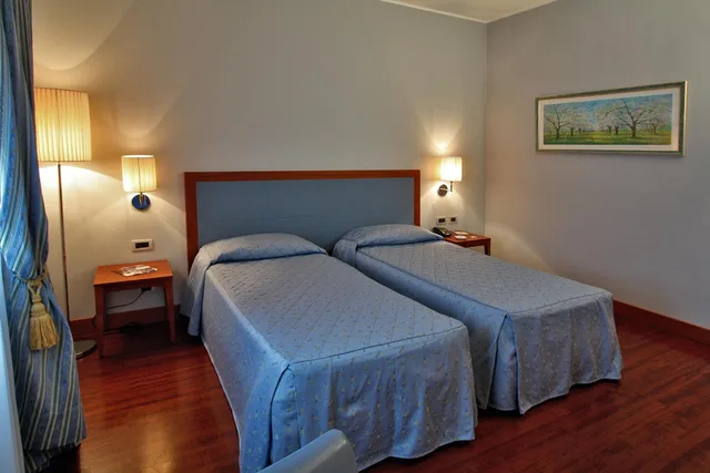 غرفة مفردة بسرير مزدوج، Hotel Del Campo 1/1