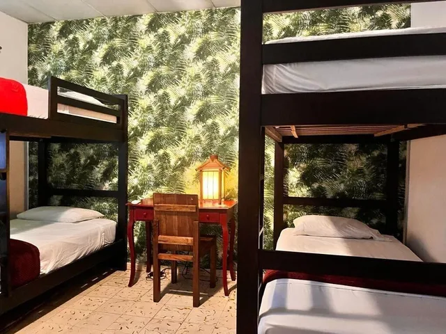 سكن مشترك مختلط أساسي، Panama House Bed & Breakfast 1/1