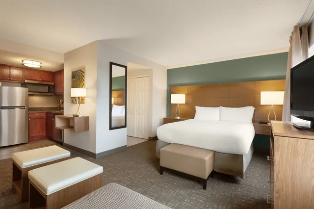 جناح استوديو بسرير كوين بمطبخ لذوي الإعاقة، Staybridge Suites Tampa East Brandon 1/5