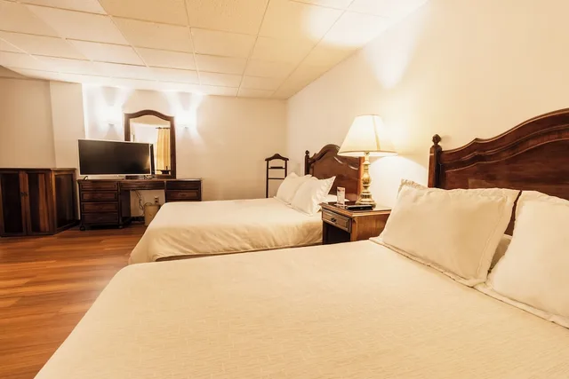 غرفة ديلوكس بسريرين منفصلين، Hotel Rey Palace 2/3