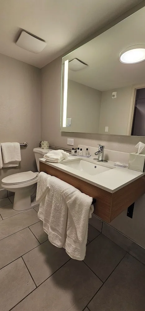 غرفة بسرير كينج لذوي الإعاقة، Wyndham Garden Atlanta Airport 7/7