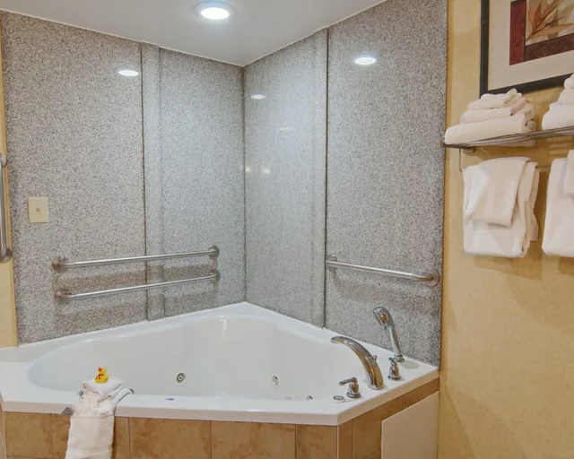 جناح مع أريكة، Comfort Suites Salem Roanoke I 81 8/9