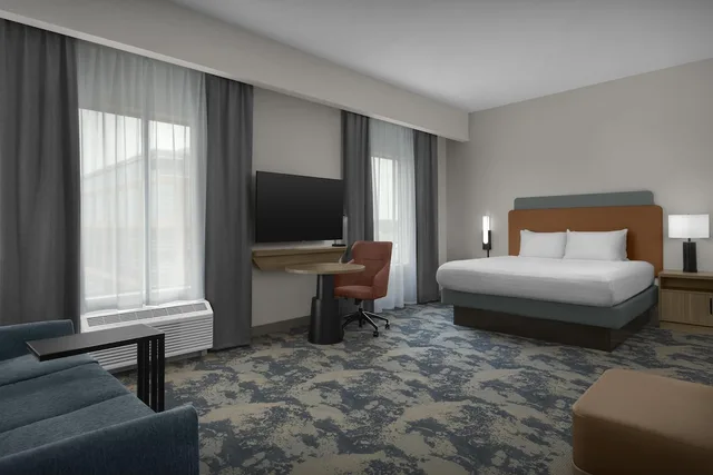 جناح استوديو بسرير كينج مع أريكة، Hampton Inn Suites Charlotte Ballantyne Nc 2/7