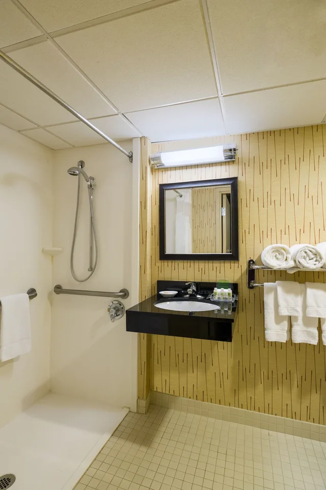 غرفة قياسية بسرير كينج لذوي الإعاقة، Holiday Inn Norwich 5/6