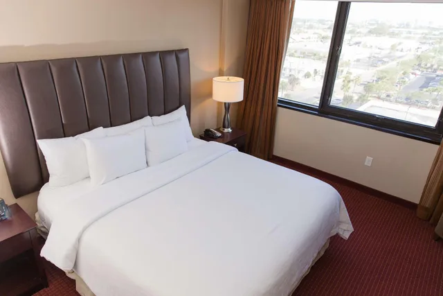جناح بريميوم بسرير كينج بغرفتين، Embassy Suites by Hilton West Palm Beach Central 1/2