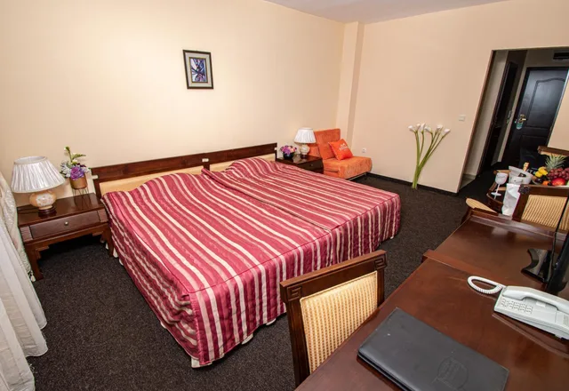 Standard, Double Bed, Park View, Princess Residence 2/9