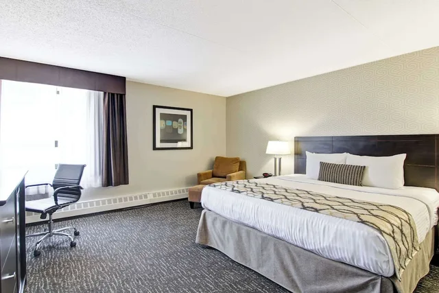 جناح استوديو بسرير كوين بمطبخ صغير، Radisson Hotel & Conference Centre West Edmonton, AB 1/10