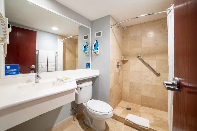 Suite, Queen Bed, Sofa, City Express by Marriott Puebla Centro 4/4