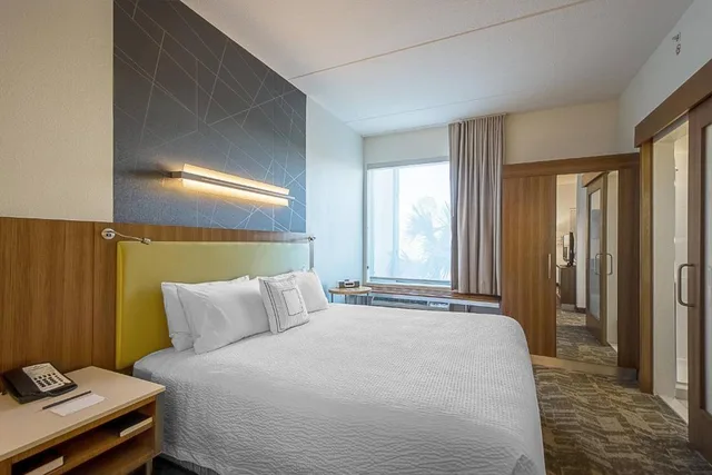 غرفة بسرير كينج مع سرير سحّاب إضافي مع أريكة، SpringHill Suites Tampa North/I-75 Tampa Palms 2/4