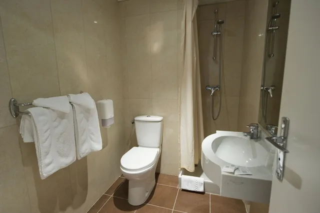 غرفة قياسية مزدوجة، The Originals City Hotel Astoria Vatican, Lourdes 3/3