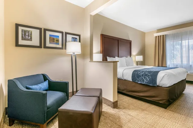 جناح بسرير كينج مع أريكة لذوي الإعاقة، Comfort Suites Batesville, AR 4/5