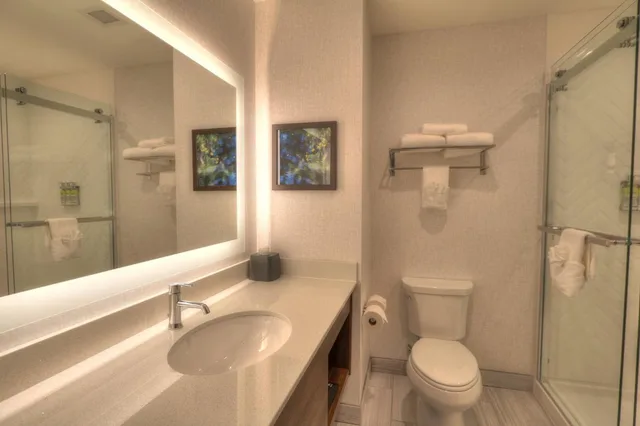 1 Bedroom, Suite, King Bed, Parkway View, Sofa, Holiday Inn & Suites Pigeon Forge Convention Center (ex Econo Lodge Hotel) 3/3