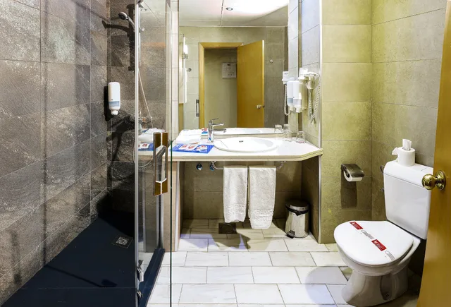غرفة سوبيريور بسرير مزدوج، Bellavista Sevilla Hotel 8/8