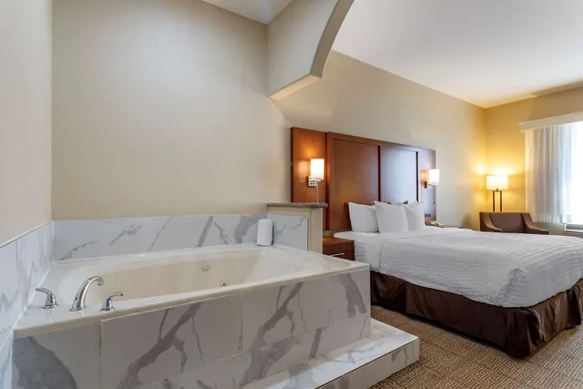 جناح بسرير كينج لذوي الإعاقة، Comfort Suites Houston near Medical Center- NRG Stadium 5/7