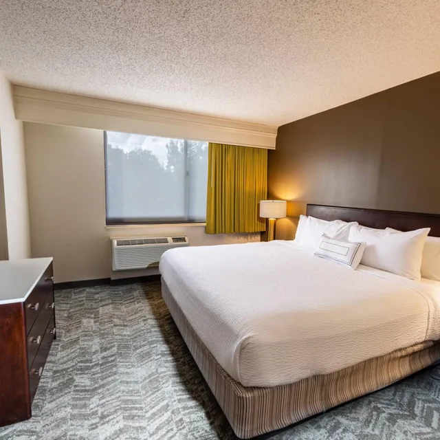 Suite, King Bed, Trundle Bed, Sofa, Accessible, Springhill Suites Houston Medical Center Nrg Park 1/3