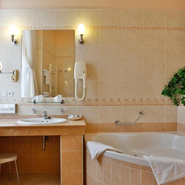 جناح ديلوكس، Hotel Kolonada 4/4