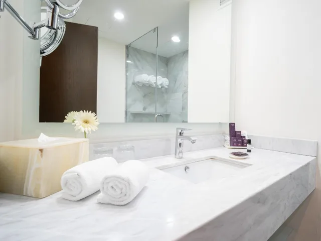 غرفة ديلوكس بسريرين كوين، Hs Hotsson Hotel Queretaro 5/7