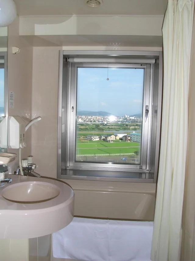 غرفة مفردة، Hotel New Green Tsubame Sanjo 2/2