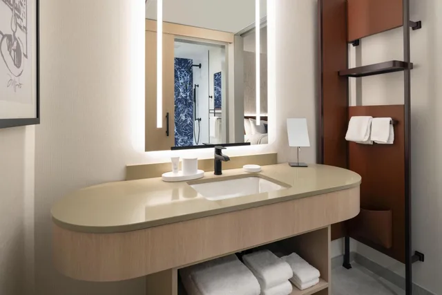 Room, King Bed, Plaza View, Corner, Cascade Hotel, Kansas City, a Tribute Portfolio Hotel 2/4