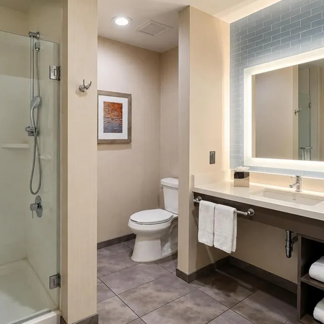 غرفة ديلوكس بسرير كينج لذوي الإعاقة، HOTEL INDIGO FRISCO 4/7