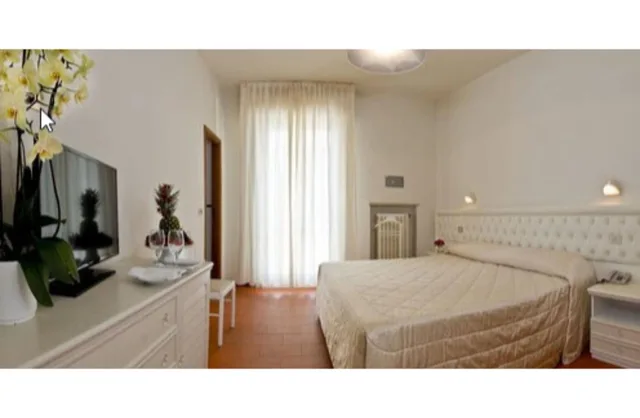 غرفة كلاسيكية مفردة بسرير كوين، Hotel Diplomatic 3/6