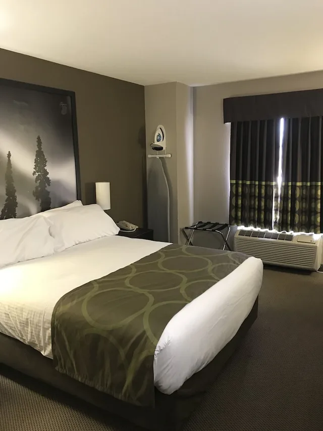 جناح بسرير كوين، Super 8 By Wyndham Prince Albert 7/10