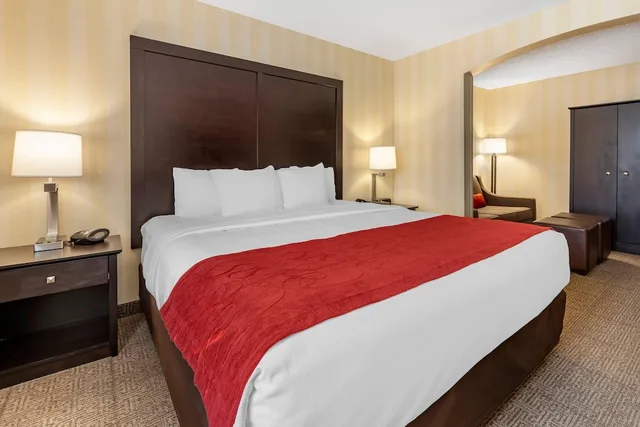 جناح بسرير كينج مع أريكة لذوي الإعاقة، Comfort Suites Highlands Ranch Denver Tech Center Area 4/7